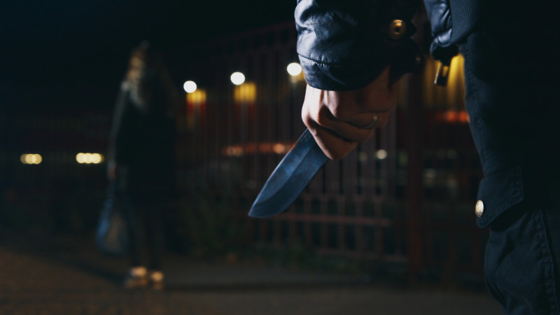В МВД подтвердили факт жестокого нападения на мать четверых детей в Шымкенте