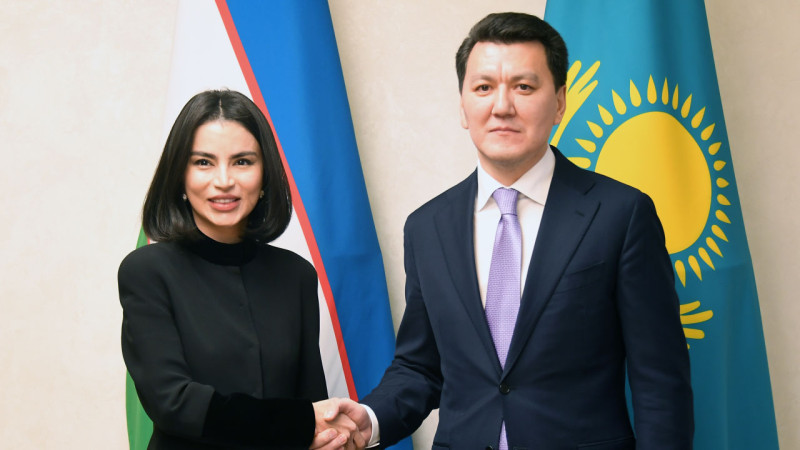 Госсоветник Ерлан Карин провел встречу с Саидой Мирзиеевой