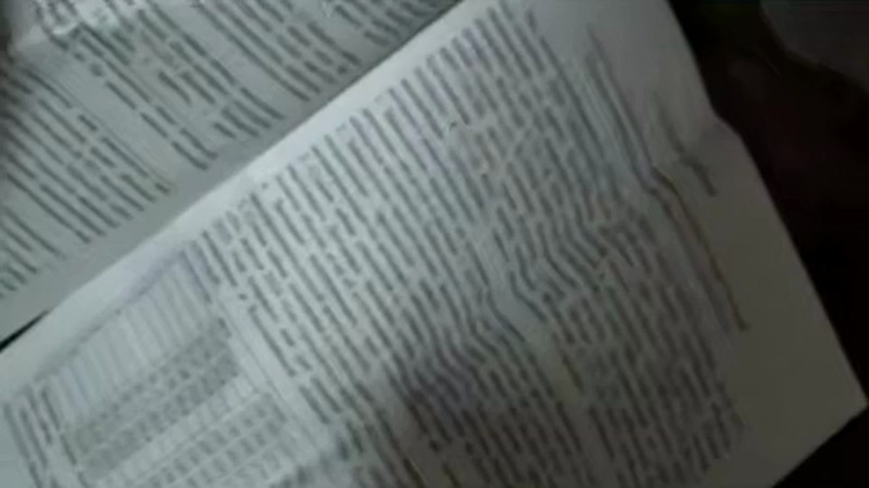 В Костанайской области раскрыта схема нелегального микрокредитования