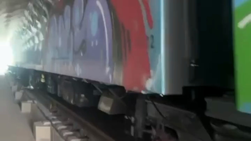 «Художники в пути»: как вагоны LRT в Астане избавились от нежелательных шедевров {city2}