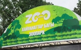 Общественность возмущена: толпа в алматинском зоопарке грозит крупными штрафами
