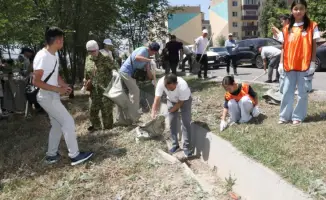 Звёзды и жители: когда метла объединяет сердца в Зердели