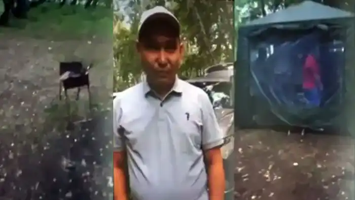 Чиновники понесут наказание за шашлыки и несанкционированную отсыпку дороги к даче