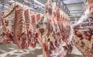 Казахстан вводит временные квоты на экспорт говядины и продлевает ограничения на вывоз топлива для сдерживания цен