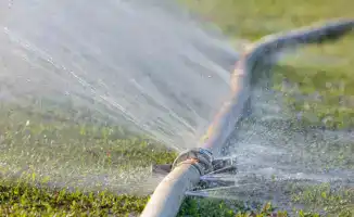 Токаев разъяснил фразу о 'конь не валялся' в Послании народу Казахстана