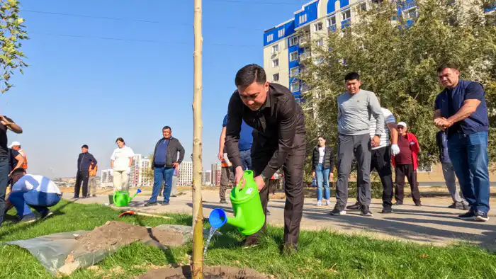 Аким Шымкента участвует в посадке деревьев в рамках акции 'Таза Қазақстан' для улучшения экологической культуры