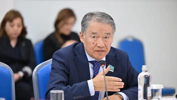 Депутат Мажилиса призывает к запрету нецензурной лексики в казахстанских сериалах, угрожая культурной идентичности страны