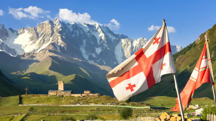 Ужесточение правил для иностранцев в Грузии: новые штрафы и упрощенная депортация вызывают обеспокоенность среди мигрантов