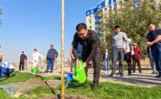 Аким Шымкента участвует в посадке деревьев в рамках акции 'Таза Қазақстан' для улучшения экологической культуры