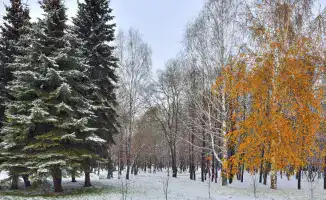 Снегопад и заморозки: Казахстан готовится к зимнему сюрпризу