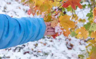 Холодные дни в Казахстане: как снижение температуры повлияет на повседневную жизнь граждан