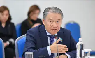 Депутат Мажилиса призывает к запрету нецензурной лексики в казахстанских сериалах, угрожая культурной идентичности страны