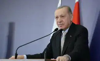 Изменение правил трудоустройства тюркоязычных иностранцев в Турции: новые возможности и вызовы для мигрантов