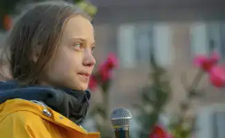 Шведская экоактивистка Грета Тунберг сообщила о жёстком обращении и унижениях после ареста в Израиле, как сообщает The Guardian.
