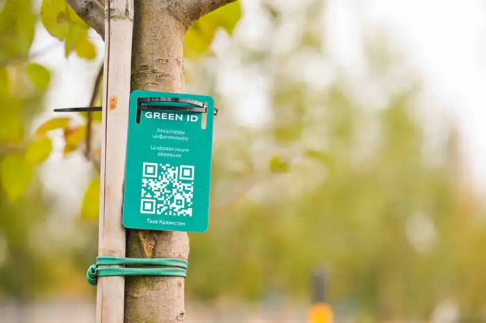 Ботанический сад