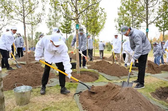 посадка деревьев