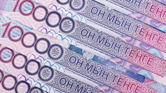 Астана: Депутат о неэффективности госинвестиций в 30 триллионов тенге