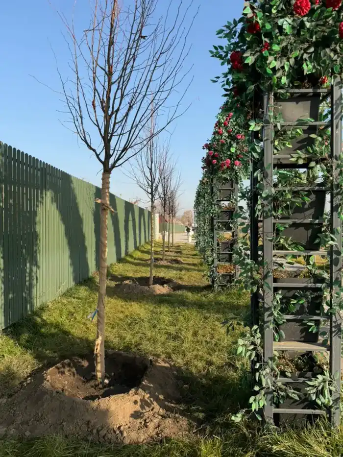 «Таза Қазақстан»: в Алматы продолжается озеленение развязки Сейфуллина–Жансугурова (4)