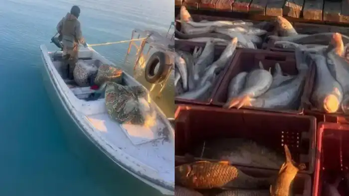 Задержание браконьеров на озере Балхаш с уловом 250 кг рыбы