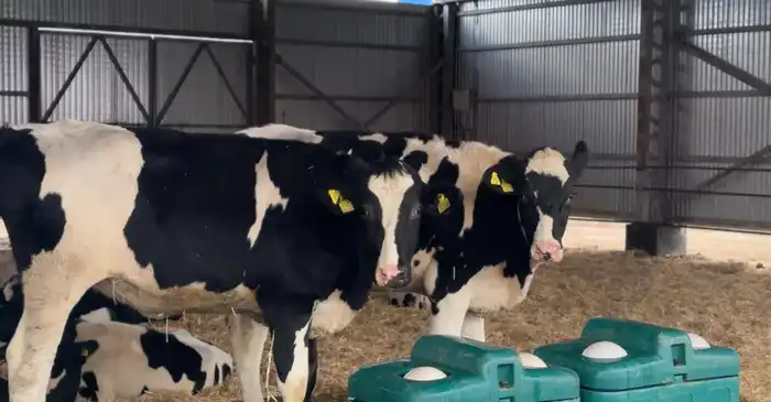 Государственная поддержка в 15 млрд тенге стимулирует рост агропромышленного комплекса Актюбинской области