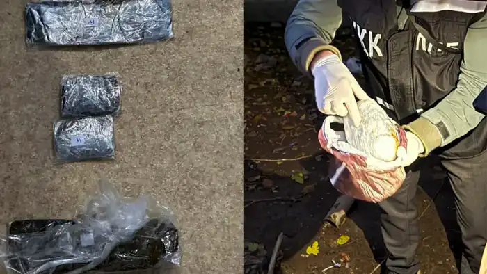 О мерах по противодействию незаконному обороту наркотиков (6)