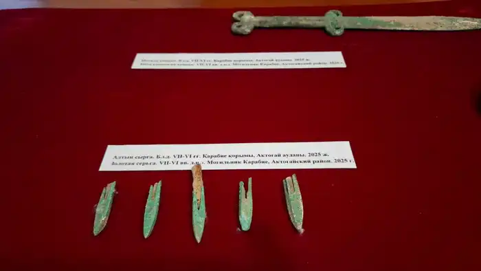 Открытие погребения сакского воина в Карагандинской области: вклад в изучение древней культуры и истории региона