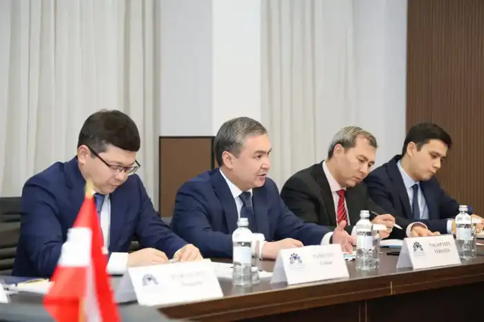 Обсуждение сотрудничества в промышленности и инфраструктуре между Казахстаном и Австрией на встрече министра Ерсайына Нагаспаева и Петра Хаубнера