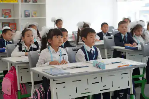 Развитие онлайн-образования в Казахстане: успешный проект для малокомплектных школ