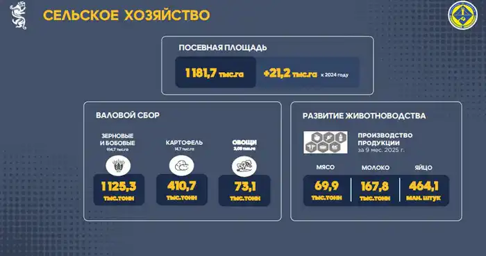 Как в Карагандинской области сдерживают цены на продукты (9)