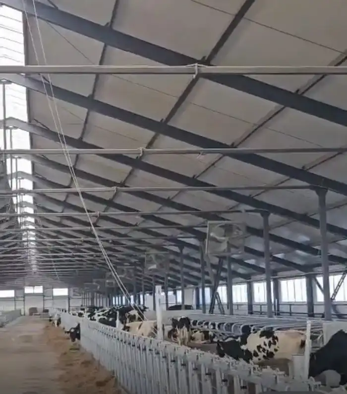 Развитие молочного животноводства в Павлодарской области: первая партия племенных телок для новой фермы