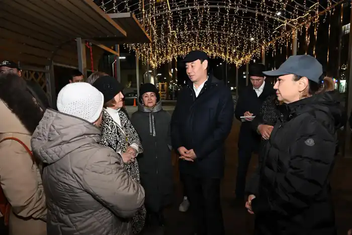 Дархан Сатыбалды оценил результаты освещения фасадов в новых микрорайонах (8)