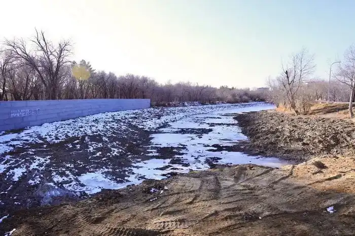 Инвентаризация деревьев в Центральном парке Караганды