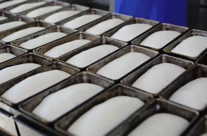 В 2025 году на государственную поддержку сельского хозяйства Актюбинской области направлено 15 млрд тенге (5)