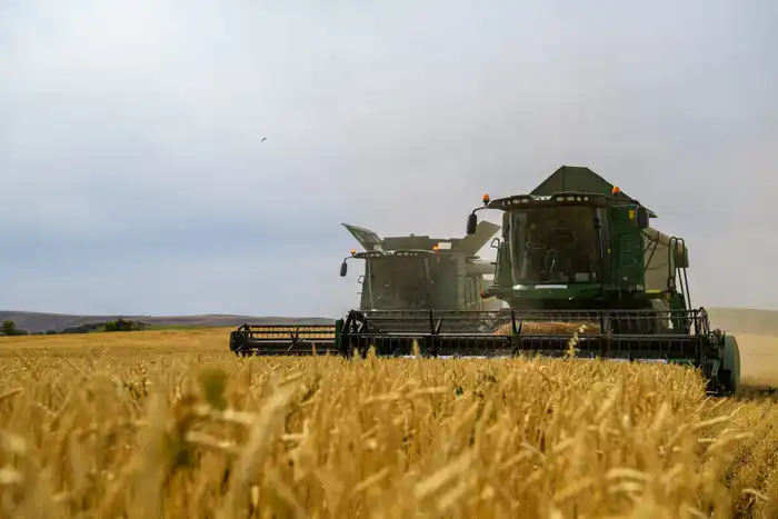 Сахар и орошение: Жетісу на пути к 68%!