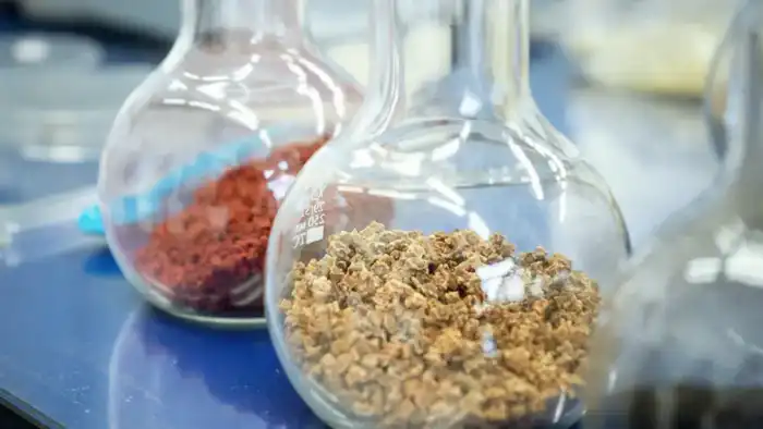 Ученые КазНУ разработали эффективный способ защиты семян (4)