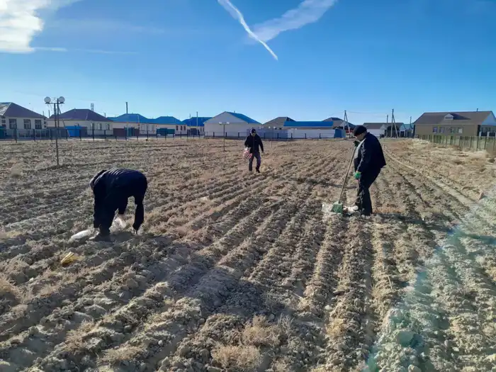 В регионе продолжаются мероприятия по благоустройству (10)