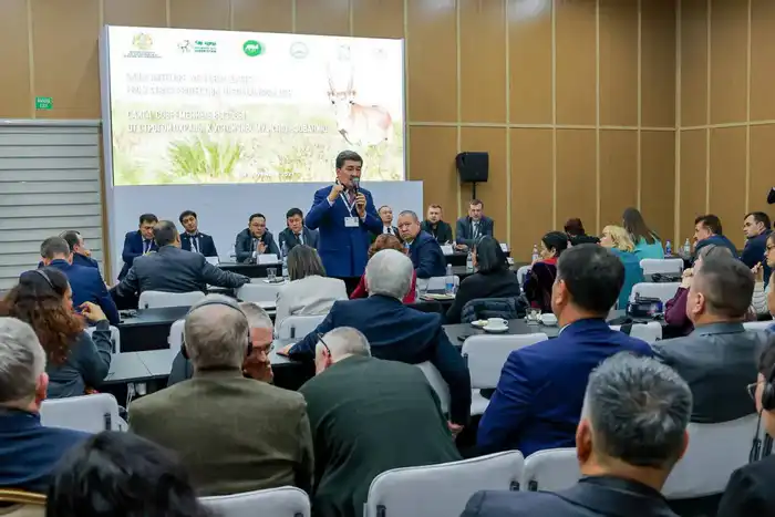 Устойчивое использование сайгака в Казахстане и Узбекистане