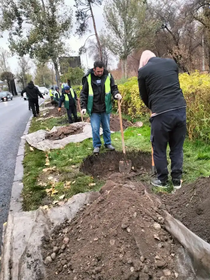 Турксибский район Алматы: более 772 тыс. деревьев и 63 зеленые зоны, включая 5 парков и 15 скверов