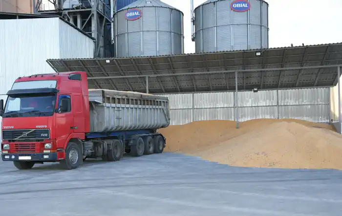 На Панфиловский район приходится 55% выращиваемой в Жетісу кукурузы (6)