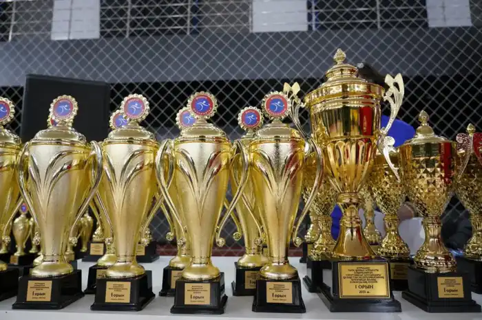 Развитие параспорта в Казахстане: награждение победителей Кубка по бочча в Астане