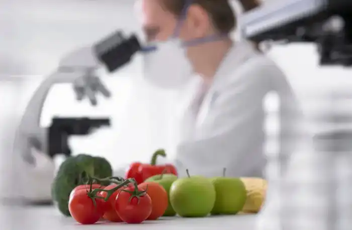 Новый порядок фитосанитарной экспертизы в Казахстане: влияние на продовольственную безопасность и качество услуг