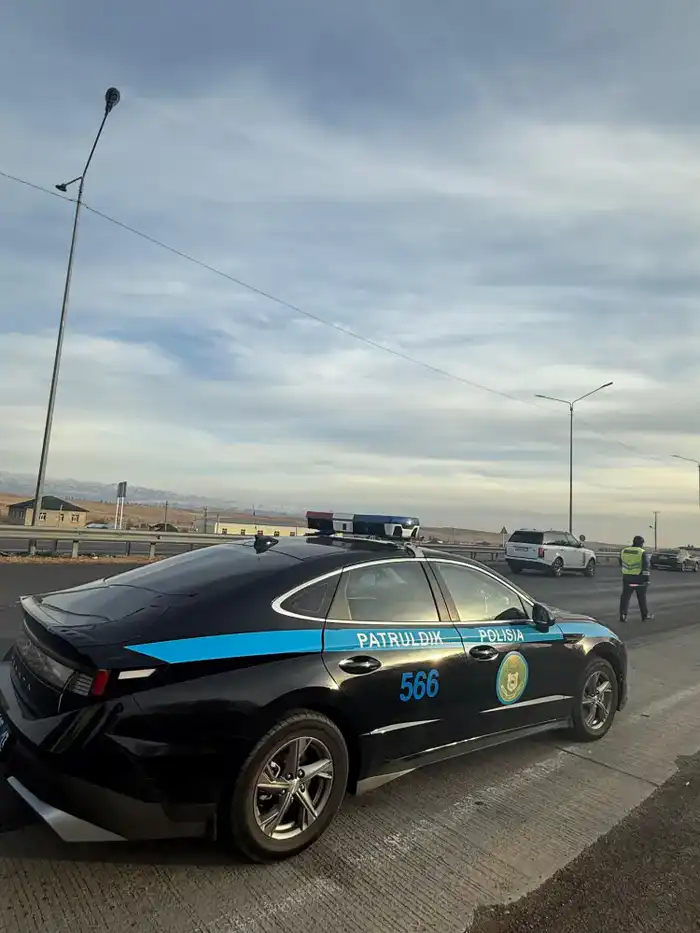 В Туркестанской области приняты меры по стабилизации цен на нефтепродукты и предотвращению незаконных перевозок (2)