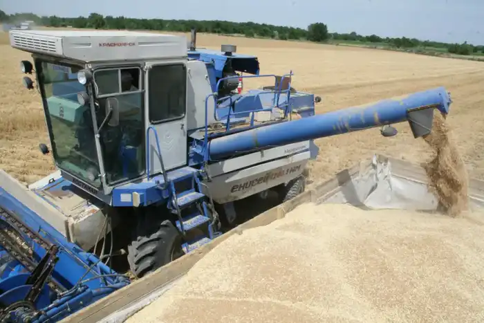 Рост валовой продукции сельского хозяйства Казахстана на 5,4% привлекает внимание международного сообщества