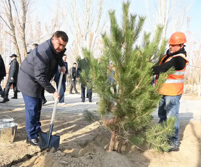 Ветераны приняли участие в церемонии посадки деревьев в рамках программы «Таза Қазақстан» (3)
