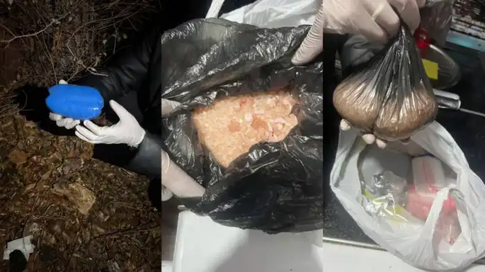 Задержание наркосбытчика в ВКО: изъято более 1,5 кг мефедрона и A-PVP