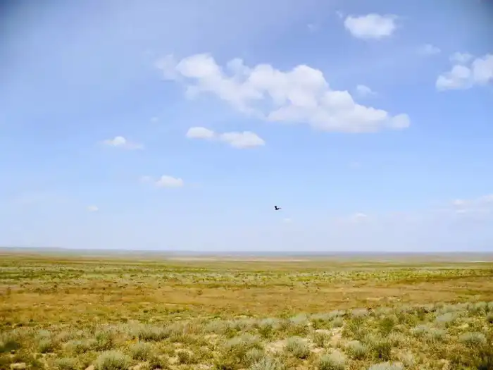 В области Абай завершено возвращение неиспользуемых сельскохозяйственных земель в государственную собственность