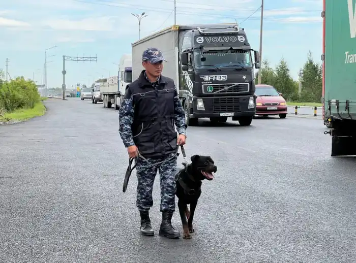 Служебная собака раскрыла тайну в BMW