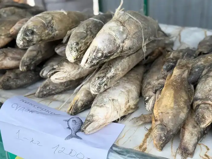 Домашние продукты, народная атмосфера и поддержка местных производителей: в Усть-Каменогорске проходит ярмарка «Туған жер – алтын бесігім» (4)