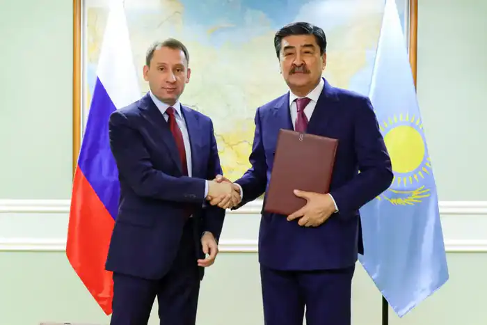 Тигры возвращаются: план по адаптации амурских котов в казахские степи