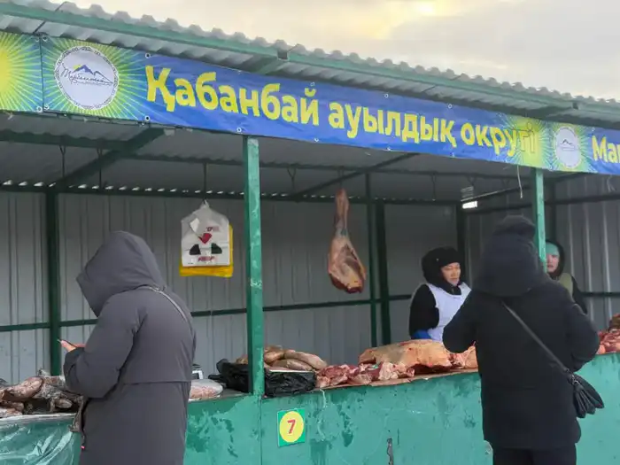 Домашние продукты, народная атмосфера и поддержка местных производителей: в Усть-Каменогорске проходит ярмарка «Туған жер – алтын бесігім» (7)